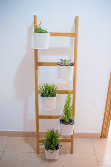 Appartement Tranquilo Y Acogedor En El Centro De La Ciudad à Valence Extérieur photo